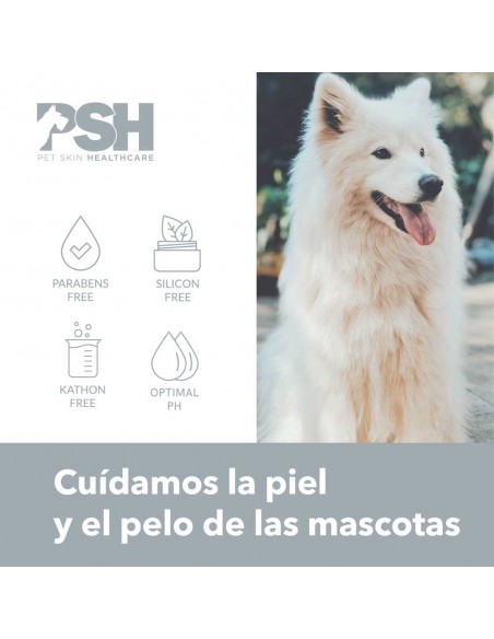 PSH ALOE LOVER CONDITIONER - 300 ml