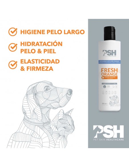 PSH FRESH ORANGE SHAMPOO - 300 ml