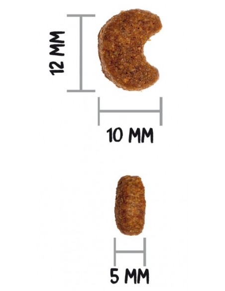 GATOS OWNAT CLASSIC STERILIZED