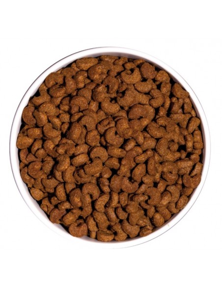 GATOS OWNAT CLASSIC STERILIZED