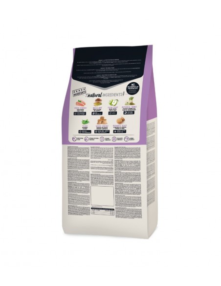 GATOS OWNAT CLASSIC STERILIZED