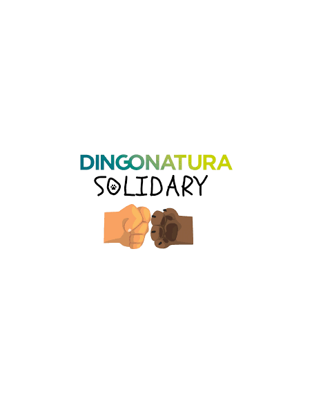 SOLIDARY PERROS JOVENES Y ADULTOS 26 - SACO 15 KG - UNIDAD